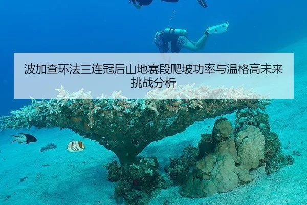 bo-jia-cha-huan-fa-san-lian-guan-hou-shan-di-sai-duan-pa-po-gong-lv-yu-wen-ge-gao-wei-lai-tiao-zhan-fen-xi-3-877.jpg